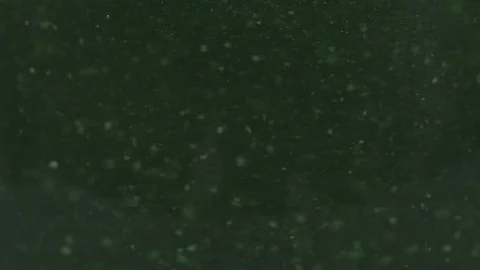 Macro Particles Rotation Stock Footage 75411474