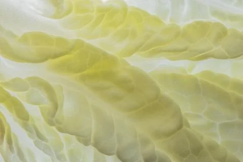 Macro pattern background from Napa cabbage Stock Photos