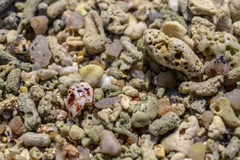 Macro pattern from pieces of shells and corals on the beach Foto stock