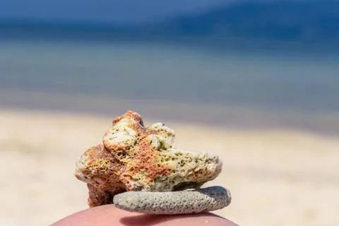 Macro pattern from pieces of shells and corals on the beach Macro pattern ... Foto stock