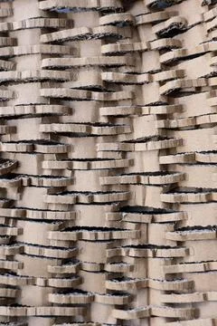 Macro Pattern Texture of Perforated Shredded Corrugated Cardboard. Stock Photos