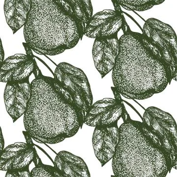 Macro Pear Fruit seamless pattern Stock Illustration
