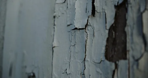 Macro of peeling cracked white paint on an American barn Stock Footage 98356529