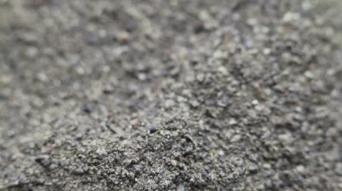 Macro Pepper Stock Footage 32939990