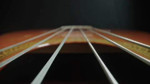 Macro Perspective of Acoustic Guitar Frets and Metal Strings Stock Footage 337998619