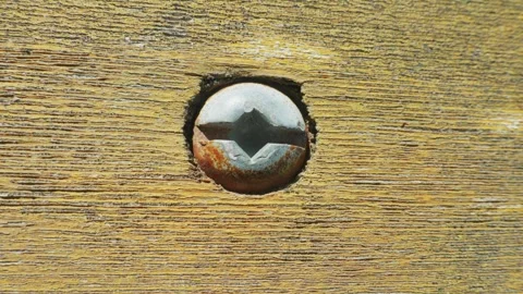 Macro of phillips head screw driven into weathered wood panel 库存影片 338200274