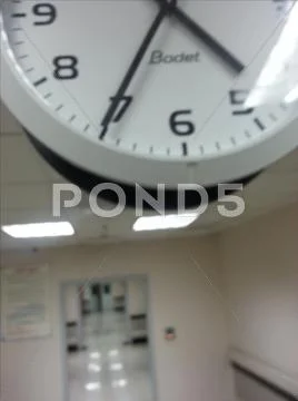 Macro Stock Photos