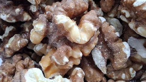 Macro photo of a collection of walnuts, texture background Foto stock