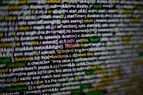 Macro photo of computer screen with program source code and highlighted TROJAN Foto stock