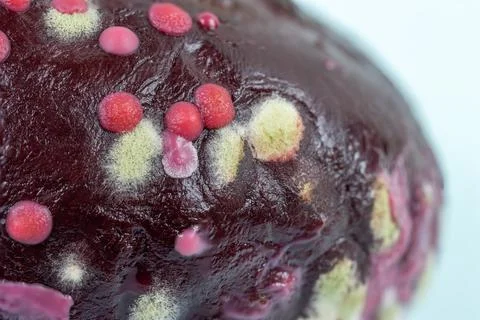Macro photo of Cooked Beetroot with Diverse Mold Species, Aspergillus, Peni.. 库存照片