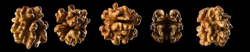 Macro photo of empty shell of walnut isolated on a black with clipping path Stock Illustration