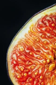 Macro photo of figs in the section 스톡 사진