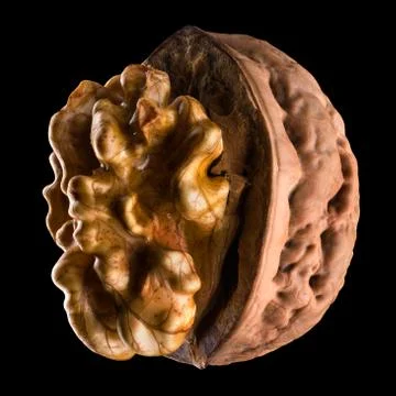 Macro photo of half opened walnut with kernel isolated on a black background Stock Photos