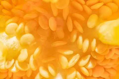 Macro Photo of the Inside of a Pepper Stock Photos