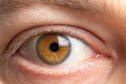 Macro photo of the male eye is brown. Healthy human cornea close up Stock Photos