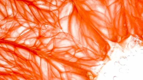 Macro photo of orange pulp structure. Pulp and juice of grapefruit over white Stock Photos