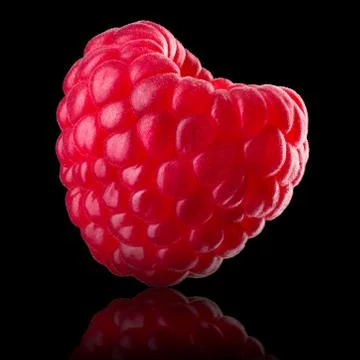 Macro photo of raspberry with reflection isolated on black background Stock Photos