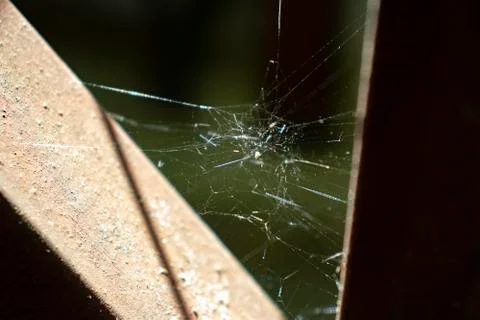Macro photo of spiderweb Stock Photos