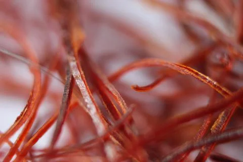Macro photograph view of saffron with selective focus Stock Photos