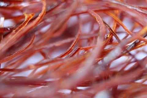 Macro photograph view of saffron with selective focus Stock Photos