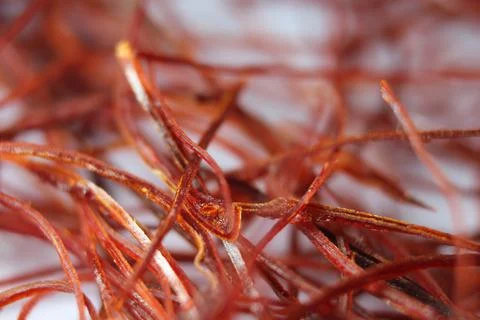 Macro photograph view of saffron with selective focus Foto stock