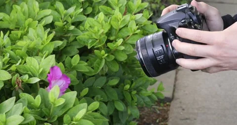 Macro Photographer Stock Footage 130931136