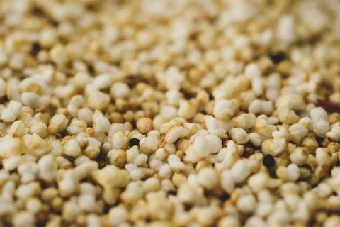 Macro Photography of Amaranth, selective focus Stock Photos