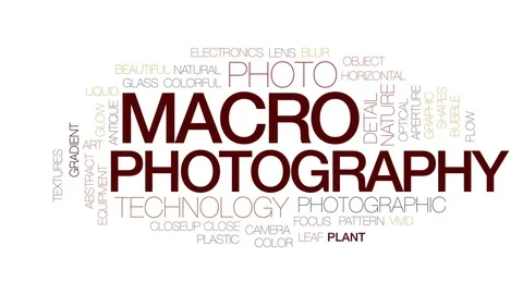 Macro photography animated word cloud, text design animation. Kinetic Stock Footage 75253752