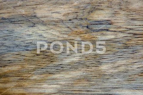 Macro photography of different textures of wood produced naturally by fungi m Stock Photos