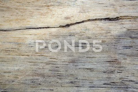 Macro photography of different textures of wood produced naturally by fungi m Stock Photos