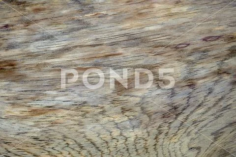 Macro photography of different textures of wood produced naturally by fungi m Stock Photos