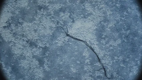 Macro photography macrocosm. timelapse structure shot under a microscope Video stock 129418957
