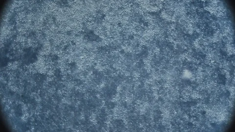 Macro photography macrocosm. timelapse structure shot under a microscope 스톡 동영상 129418983