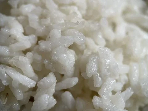 Macro photography of white clumpy rice Stock Photos