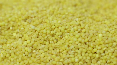 Macro picture of millet Stock Footage 37832805