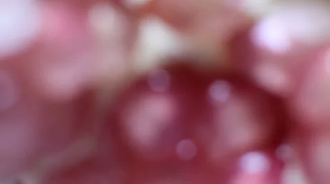 Macro picture of Pomegranate Video stock 37834432