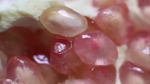 Macro picture of Pomegranate Stock Footage 37835673
