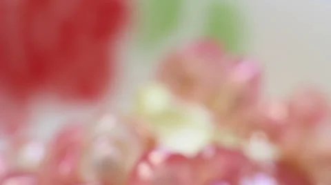 Macro picture of Pomegranate Stock Footage 37849788