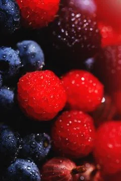 Macro picture of red raspberry on background of blueberries and gooseberries. Stock Photos
