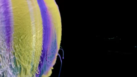 Macro pigment flow on iridescent textured sphere with hanging filaments and drop Stock Footage 340782428