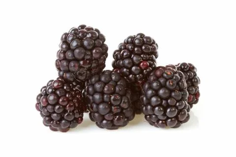 Macro of pile blackberries Stock Photos