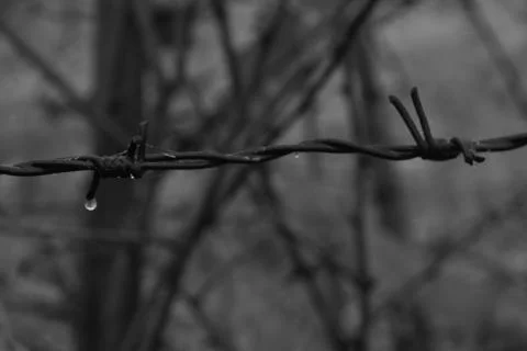 Macro Plain Wire 2 Stock Photos