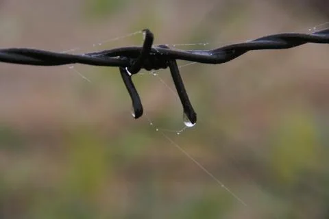 Macro Plain Wire 3 Stock Photos