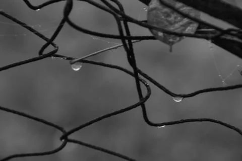 Macro Plain Wire 4 Stock Photos