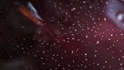 Macro plan of hot mulled wine. Stock Footage 116818485