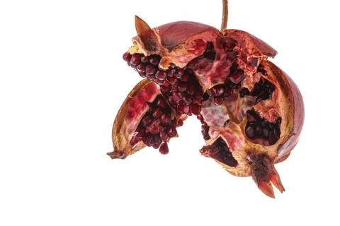 The macro pomegranate Stock-Fotos