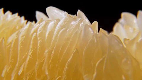 Macro of Pomelo fruit peeled slice rotating Stock Footage 122256928