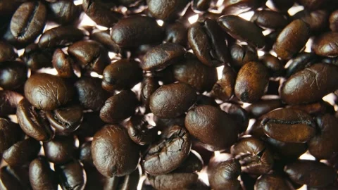 Macro Push In Toward Roasted Coffee Beans with Soft Bokeh Background. 库存影片 340028569