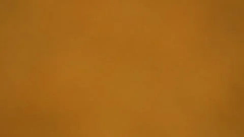 Macro rack focus of dry orange lentils texture top down view 4k Stock Footage 336932585