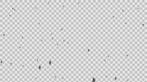 Macro Rain with alpha, looping Stock Footage 62515927